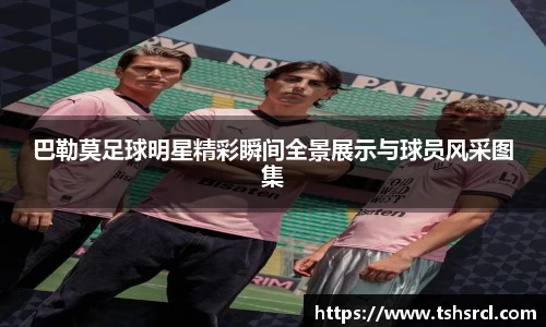 巴勒莫足球明星精彩瞬间全景展示与球员风采图集