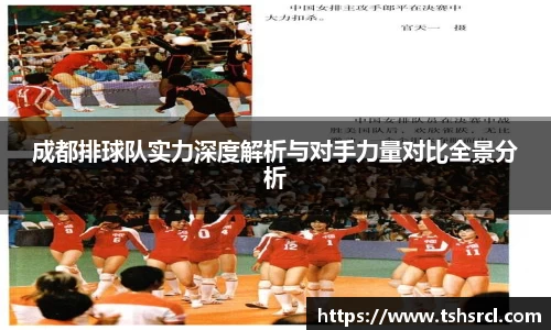 成都排球队实力深度解析与对手力量对比全景分析