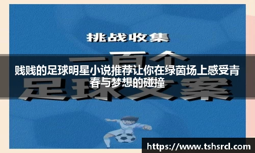 贱贱的足球明星小说推荐让你在绿茵场上感受青春与梦想的碰撞